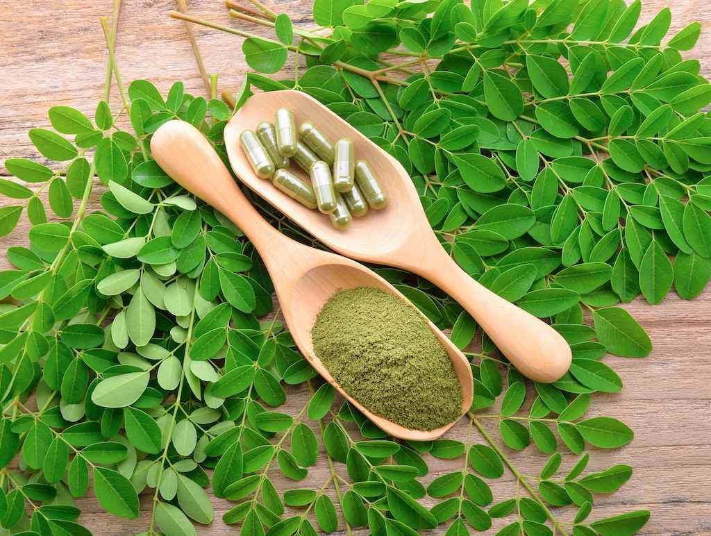 Can Moringa Seeds Prevent Pregnancy?